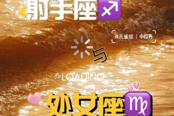 处女座和射手座配对指数
