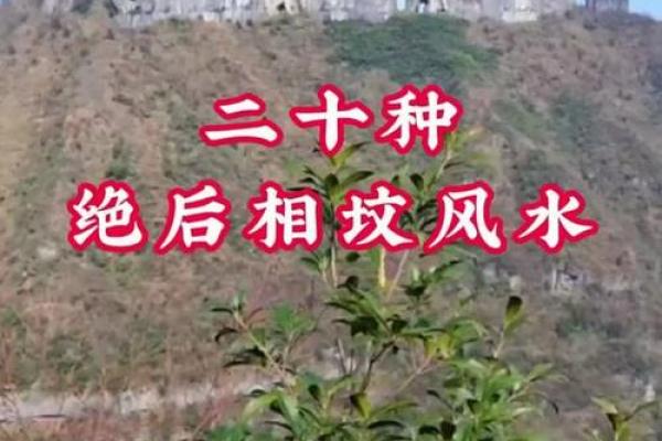 子孙后代风水