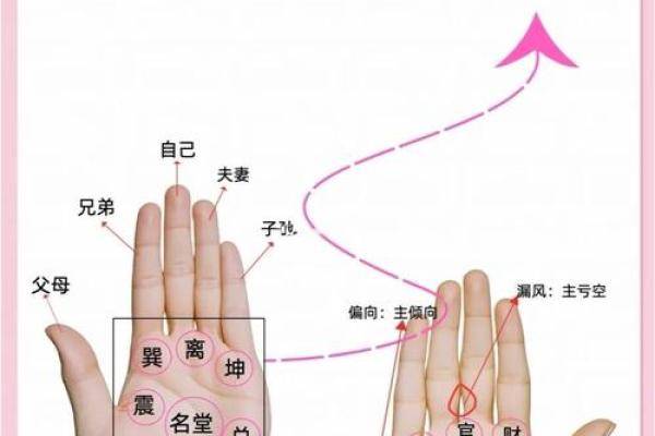 《手相学习百科》：手相看家庭与遗传
