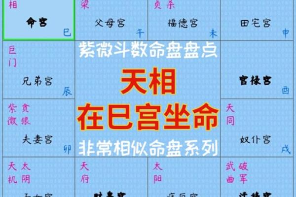 如何定紫薇星天府星