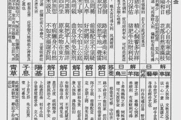 每日灵签13