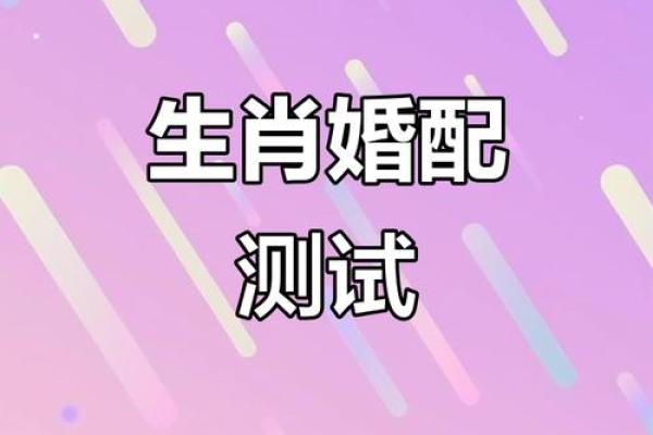 属龙女跟什么属相最配对