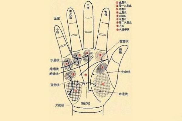手线算命