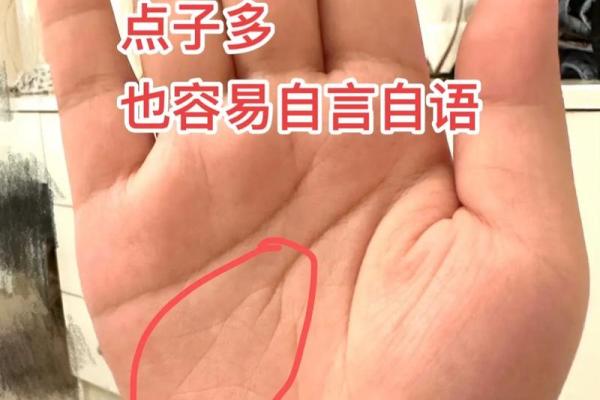 《手相学习百科》：智慧线