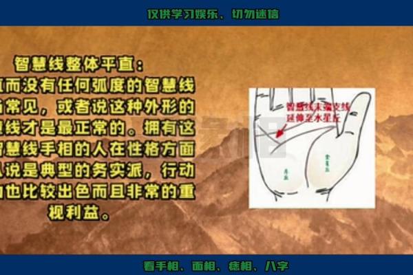 《手相学习百科》：智慧线