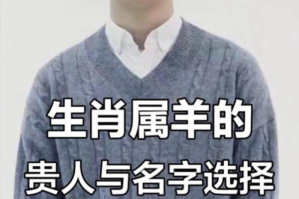 晚上十二点出生的属羊男孩如何起名，宜用什么字姓名