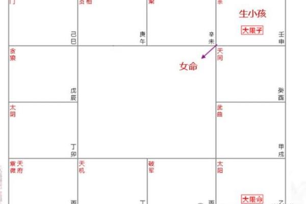 命带紫薇星是什么
