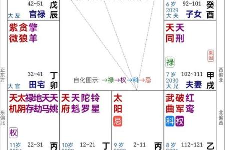 紫薇斗数测职业