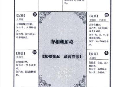 包含紫薇斗数七杀丙寅的词条