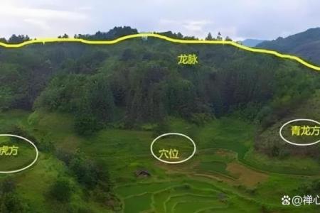 子孙后代风水