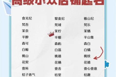 公司起名测试网免费的,免费测店名吉凶打分