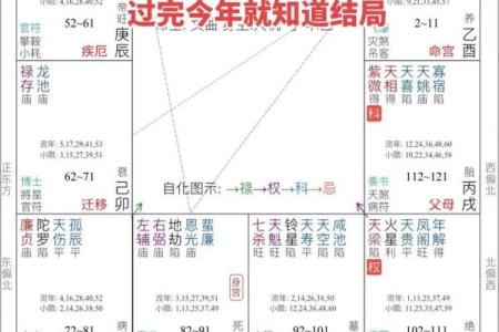 紫微斗数之夫妻宫在丑宫，是什么意思？