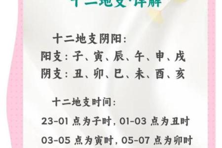 八字地支土多的解析及它们的特点