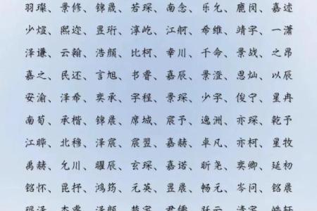 2019年3月21号巳时出生的男孩要怎么起名字姓名