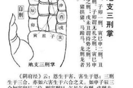 鼎易堂：八字中刑冲合化的应用