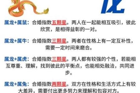 龙跟什么生肖配对最好 生肖龙最佳配对