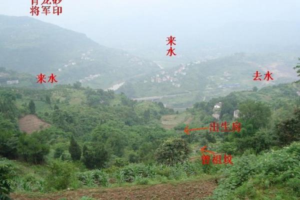 下窖房子风水如何看
