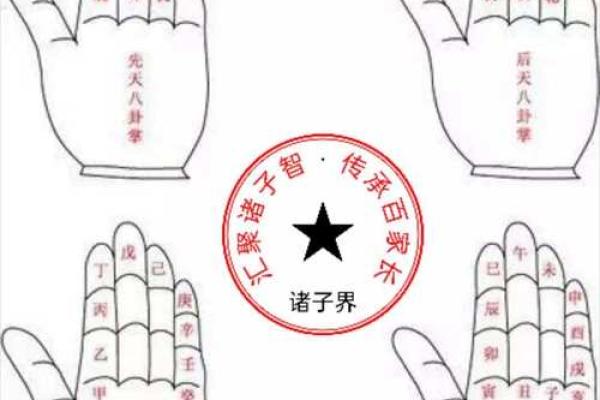 一掌经算命书
