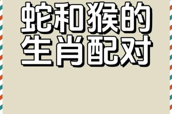 十二生肖属蛇的配对