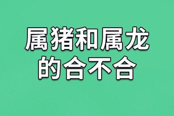 属猪男和什么属相配吗，属猪男和什么属相配对？