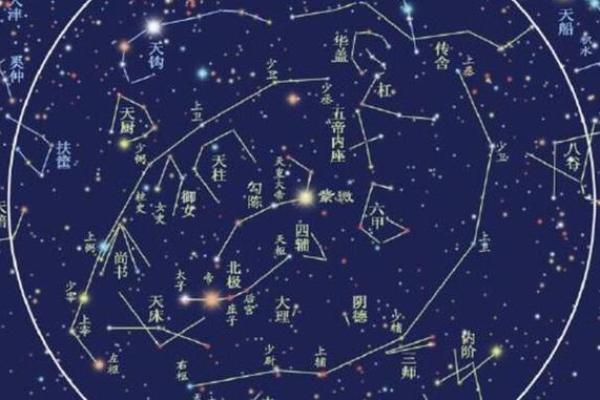 紫薇斗数36颗星代表什么