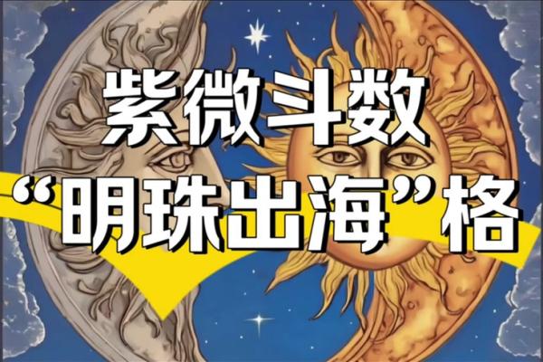 飞廉紫薇斗数流年