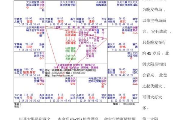 紫薇斗数详细批