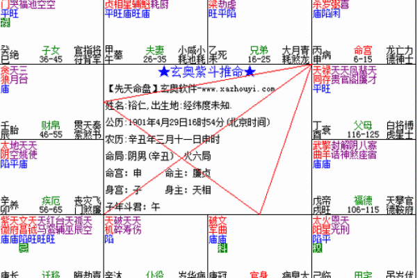 紫微斗数紫薇怎么排