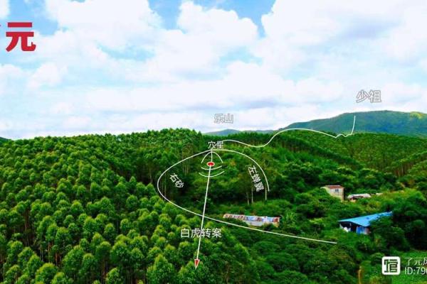 风水科普阴宅风水宝地什么意思