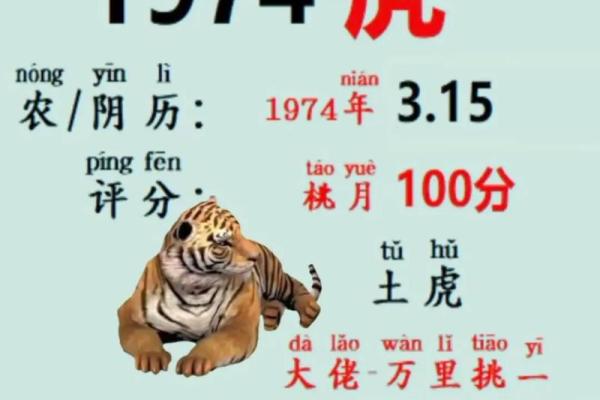 九易算命网