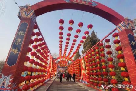 北京龙潭湖庙会的民俗文化