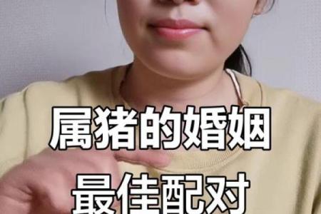 猪跟什么生肖配对最好 生肖猪最佳配对