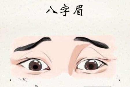 八字眉眉尾下垂的男人适合结婚吗