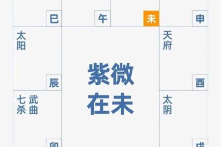 紫薇斗数真传
