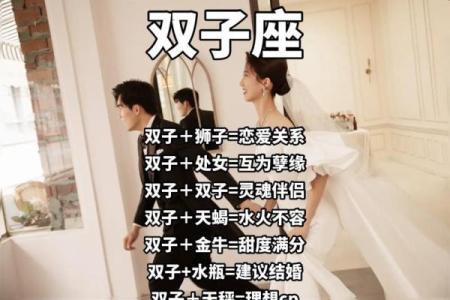12星座双子座的男生帅吗
