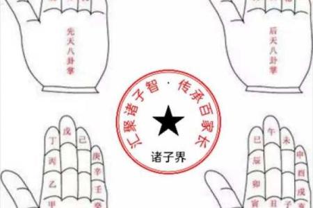 一掌经算命书