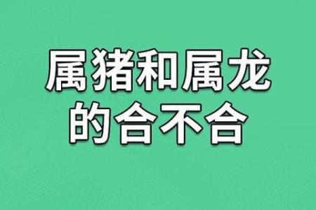 属猪男和什么属相配吗，属猪男和什么属相配对？