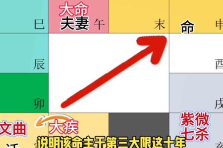 飞廉紫薇斗数流年