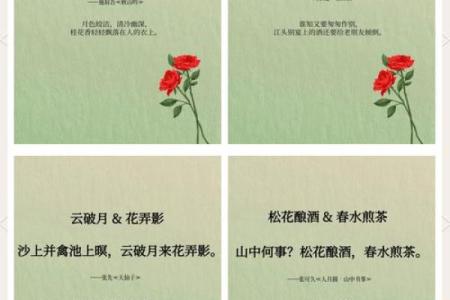姓名配对爱情电视剧国产 姓名配对恋爱？