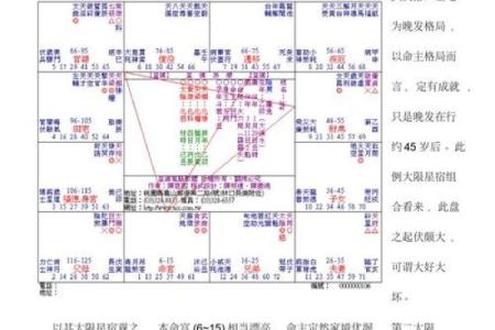 紫薇斗数详细批