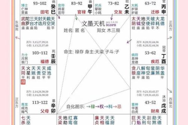 紫薇斗数离婚化忌