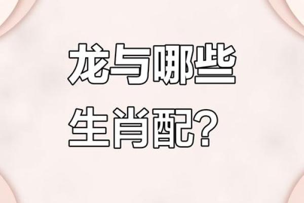 婚姻配对属龙和属马姻缘怎么样