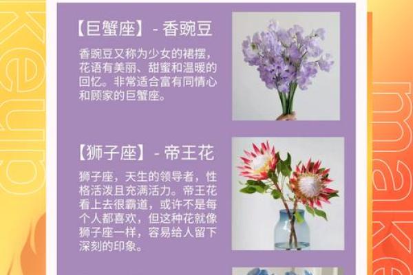 星座运势几个图意思