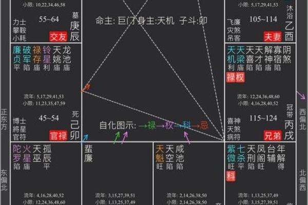 属蛇正缘出现在哪年 属蛇人婚姻配对表