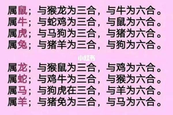 九四年属什么生肖婚配 九四年属什么生肖配对