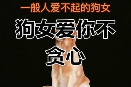 94年狗和94年狗是上等婚吗 两只94年生的狗配对算是高配婚姻吗