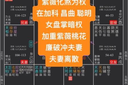 紫薇斗数结婚盘