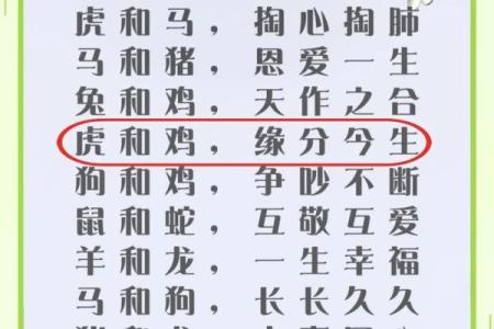 注定成为敌人的属相配对