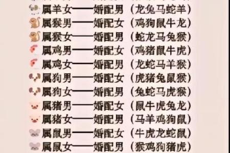 生肖属猴和属猪合吗 相合配对指数查询