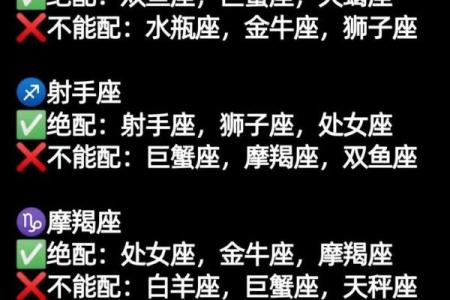 再忙也要抽时间旅行的星座